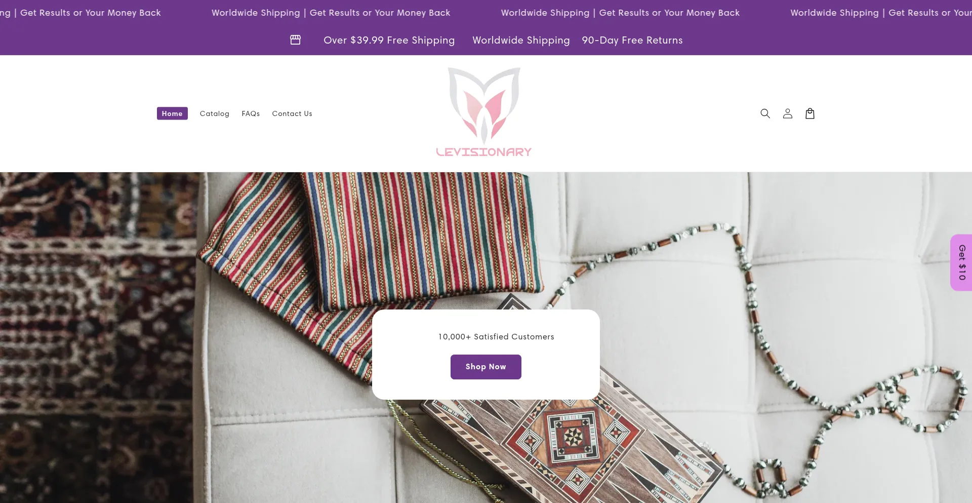 Website screenshot of Levisionary.com