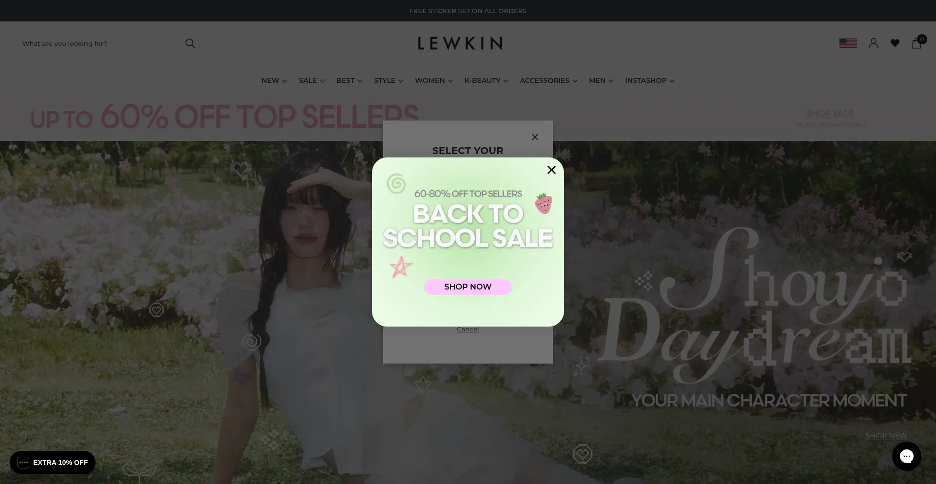 Website screenshot of Lewkin.com