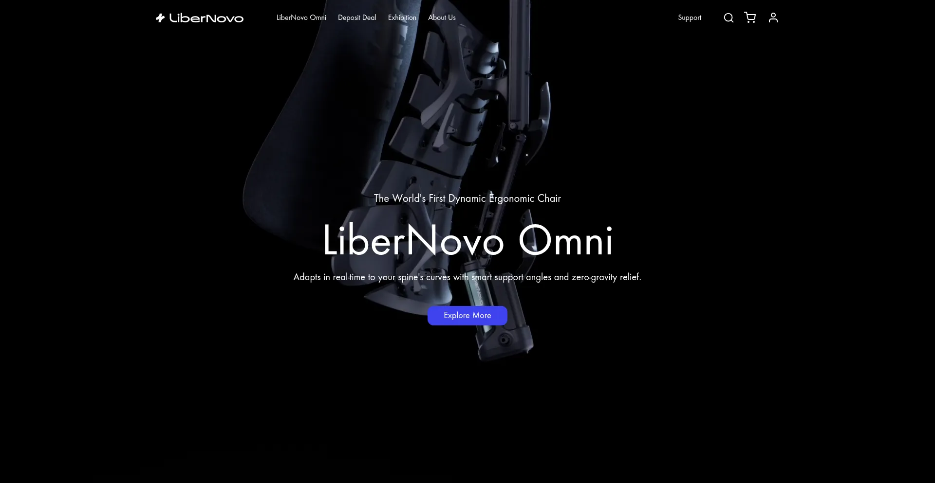 Website screenshot of Libernovo.com