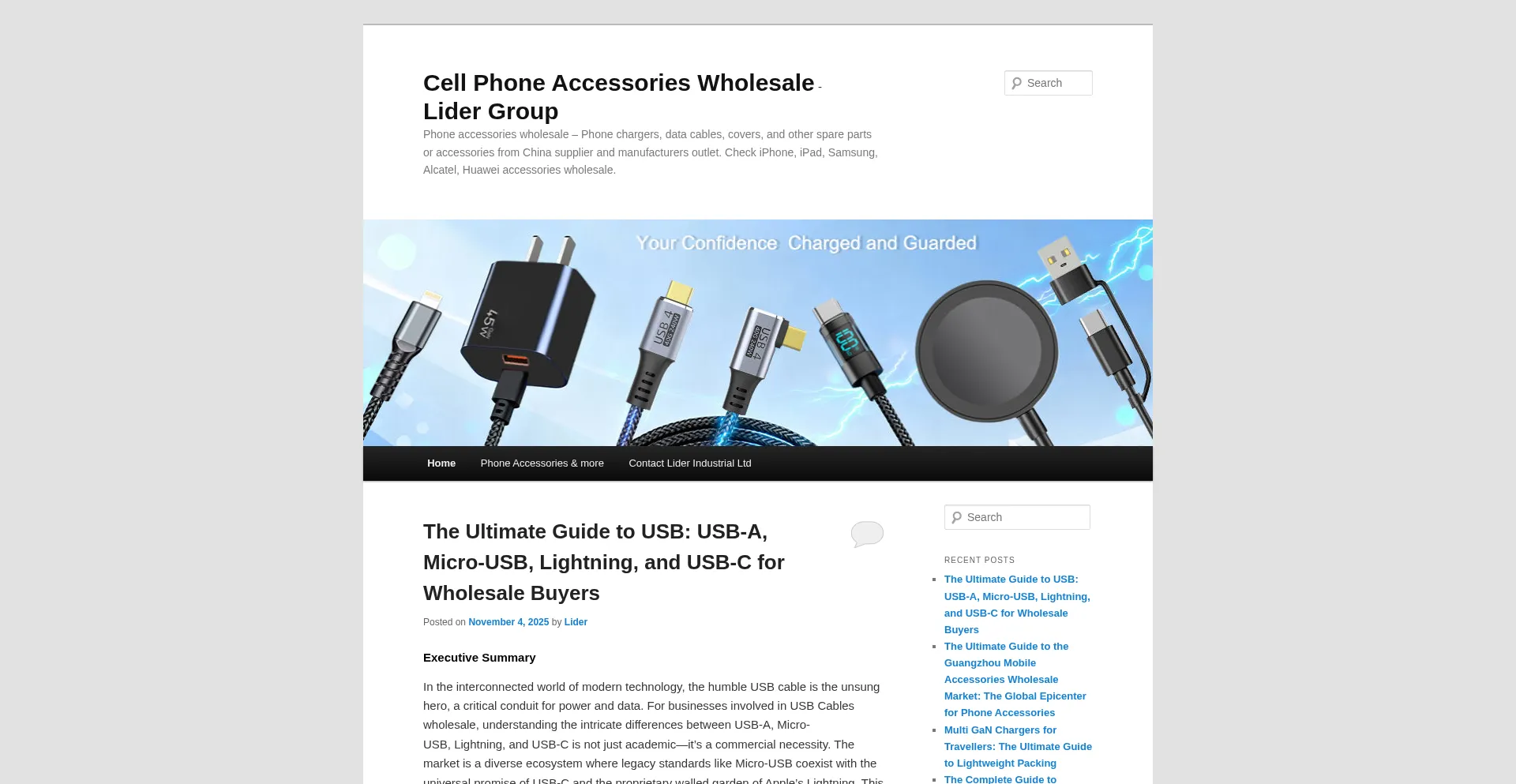 Lidergroupinc.com