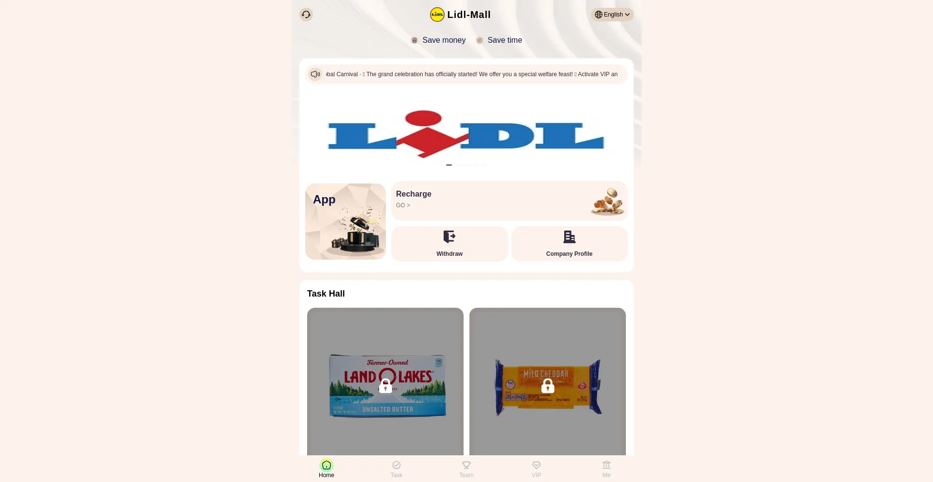 Website screenshot of Lidl-mall.cc