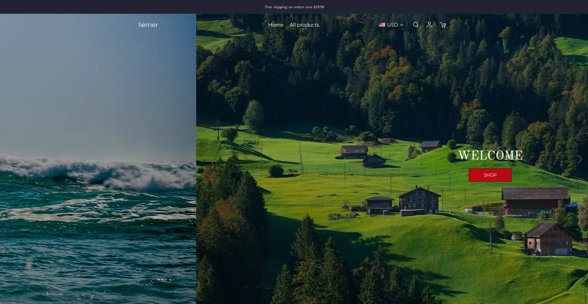 Website screenshot of Lierner.com