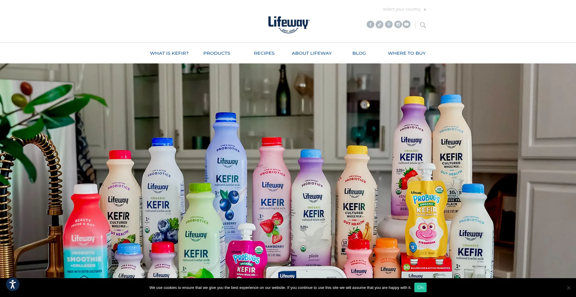 Lifewaykefir.com