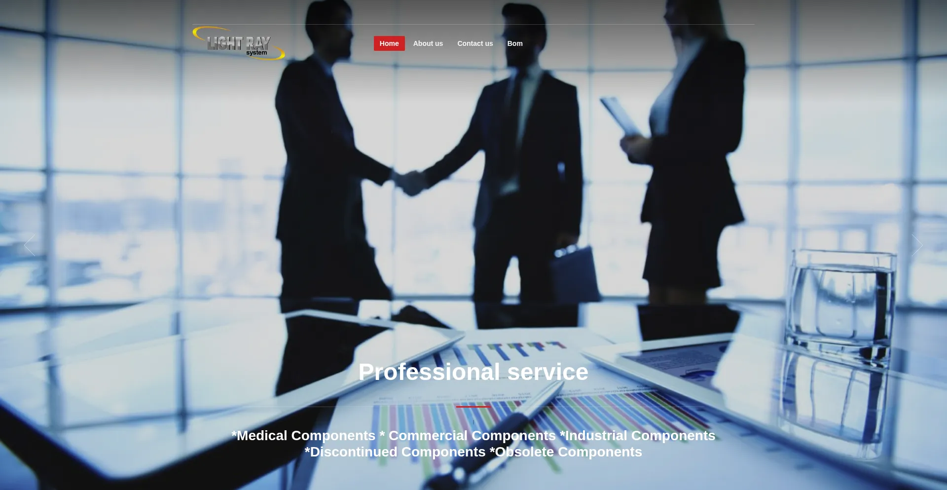 Website screenshot of Lightraysystem.com