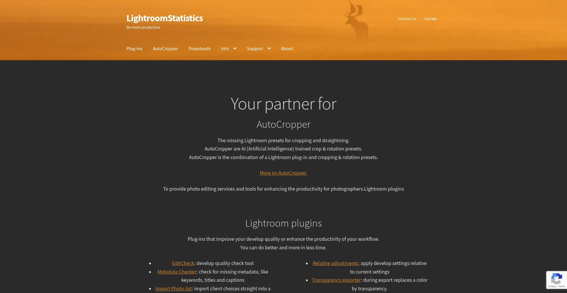 Website screenshot of Lightroomstatistics.com