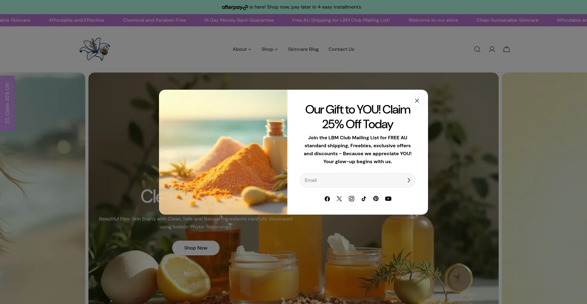 Website screenshot of Lilybeeandme.com