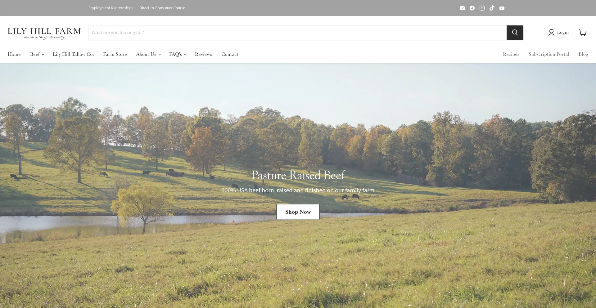 Website screenshot of Lilyhillcattle.com