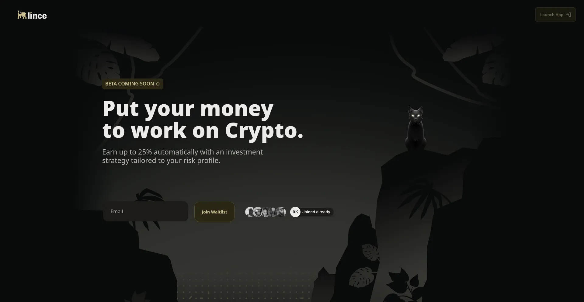 Website screenshot of Lince.finance