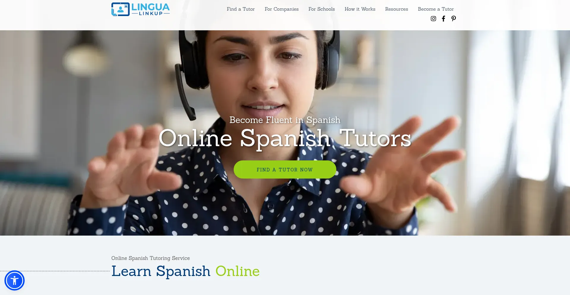 Website screenshot of Lingualinkup.com