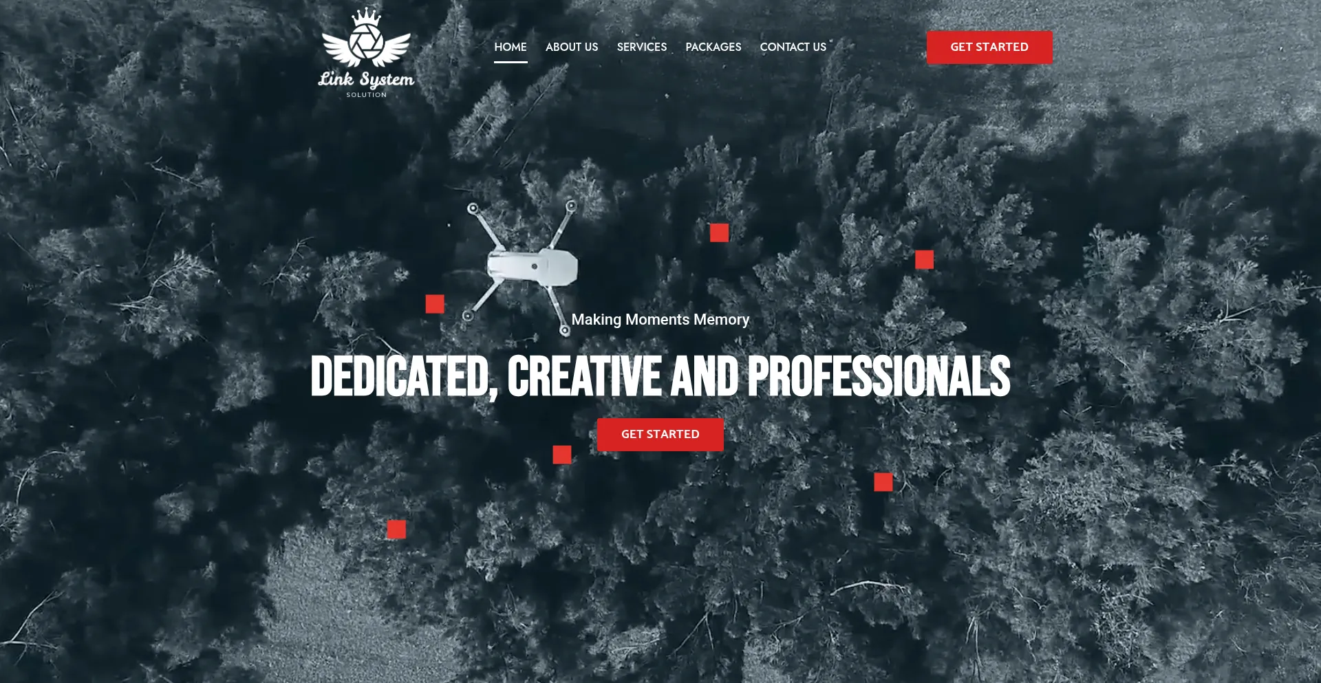 Website screenshot of Linksystemsolution.com