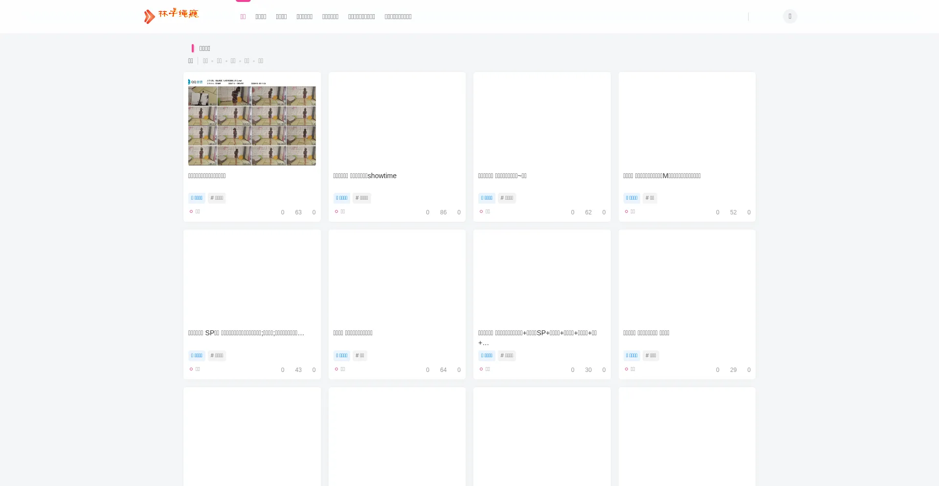 Website screenshot of Linzisy.com