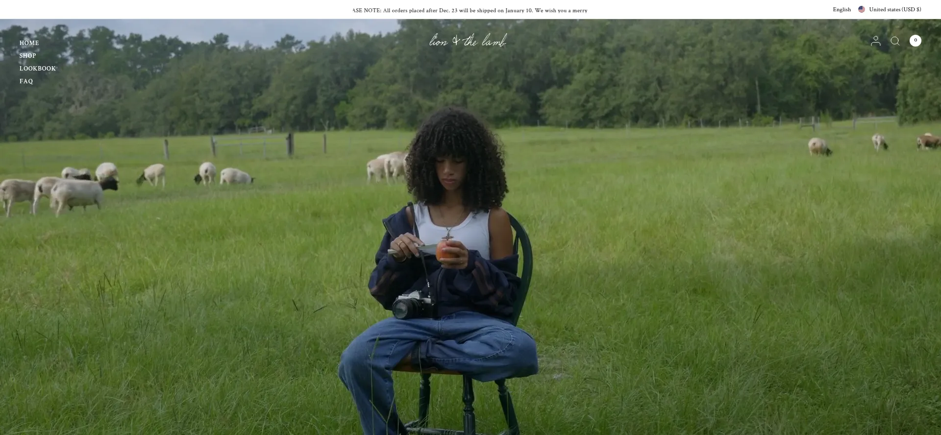 Website screenshot of Lionandthelamb.co