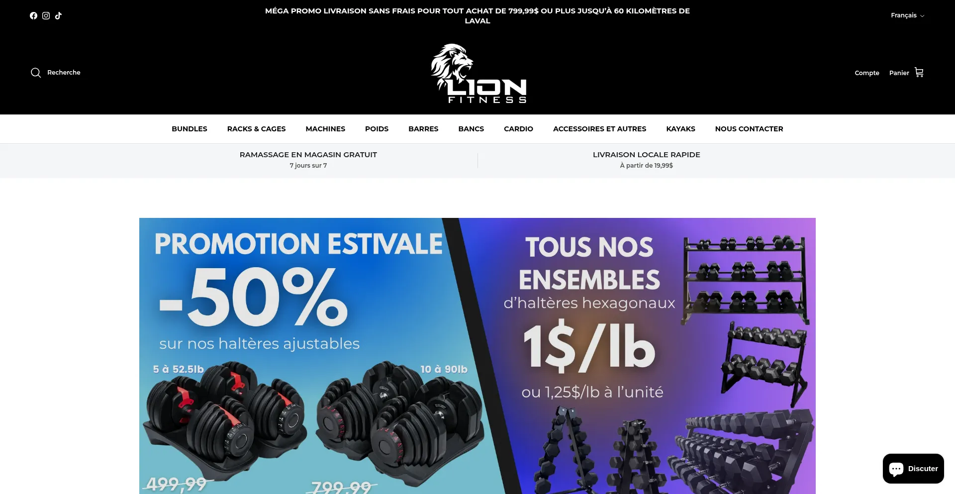 Website screenshot of Lionfitness.ca