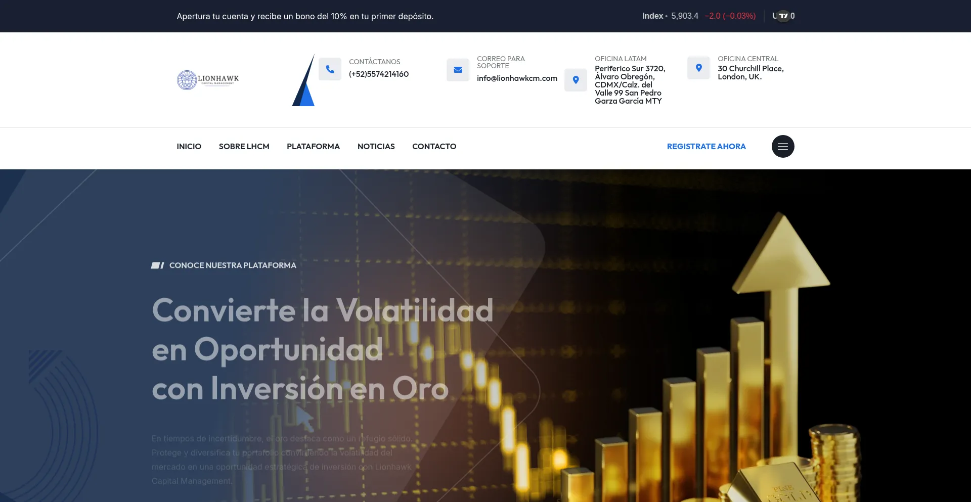Website screenshot of Lionhawkcm.com