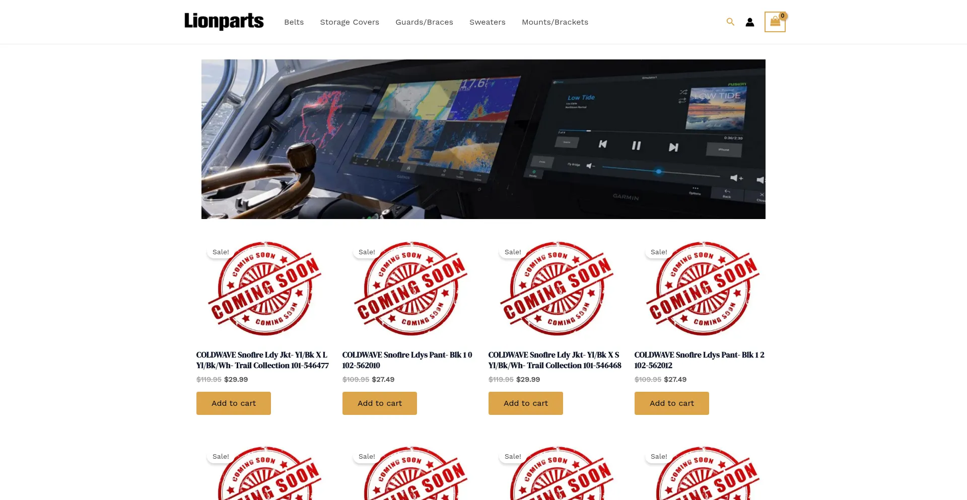 Website screenshot of Lionpartsmotorcycle.com