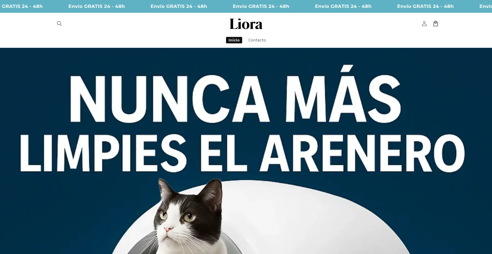 Website screenshot of Liorasp.shop