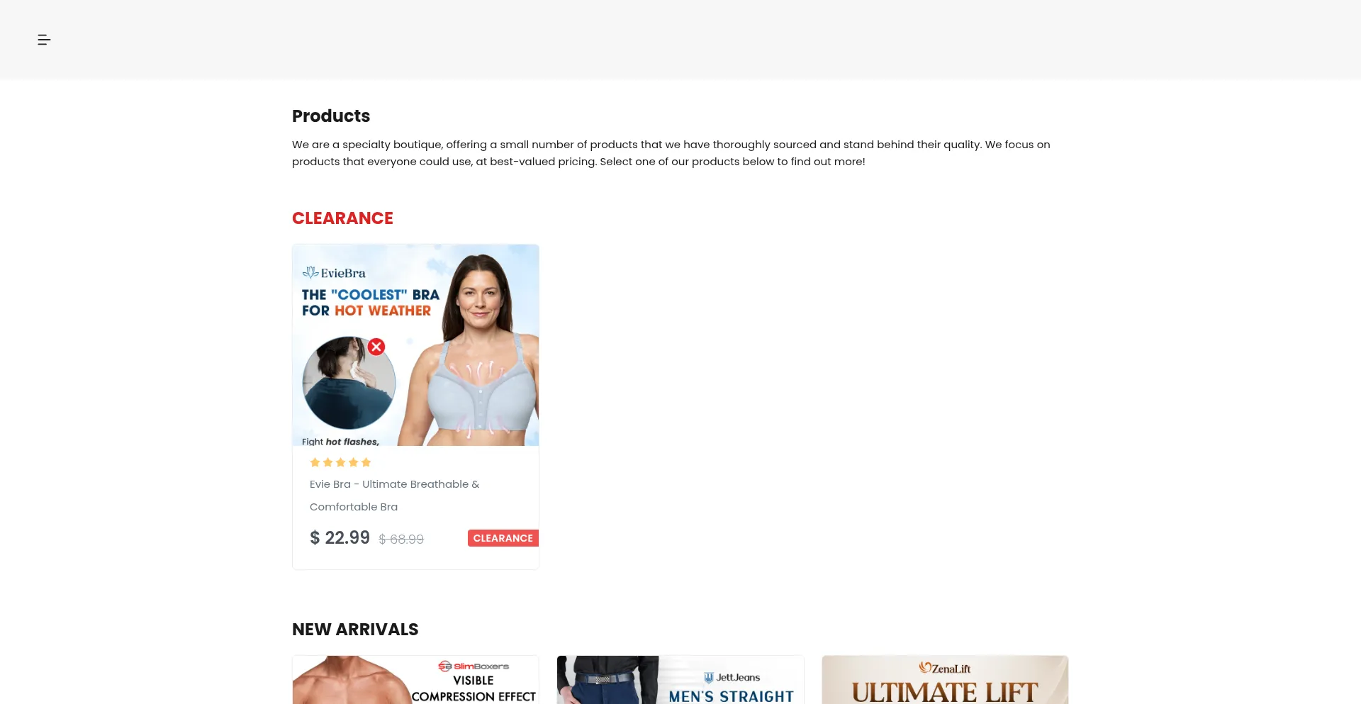 Website screenshot of Lisachiccs.com