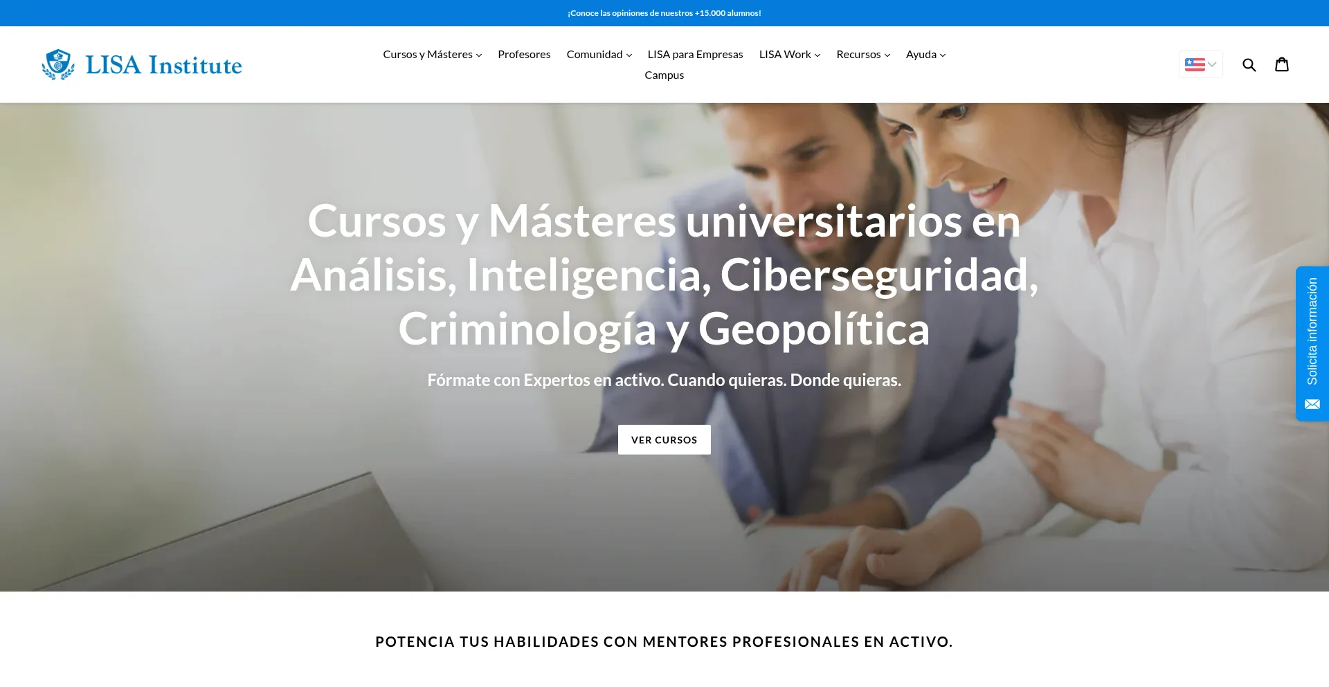 Website screenshot of Lisainstitute.com