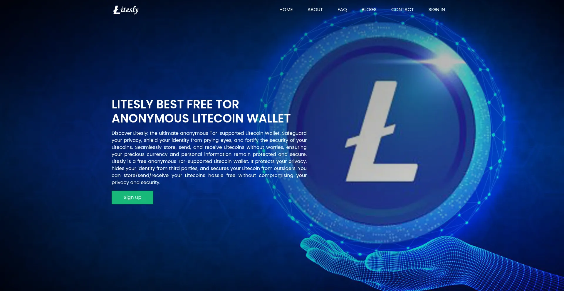 Website screenshot of Litesly.com
