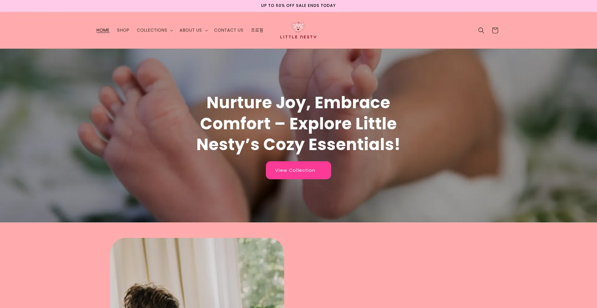 Little-nestys.com
