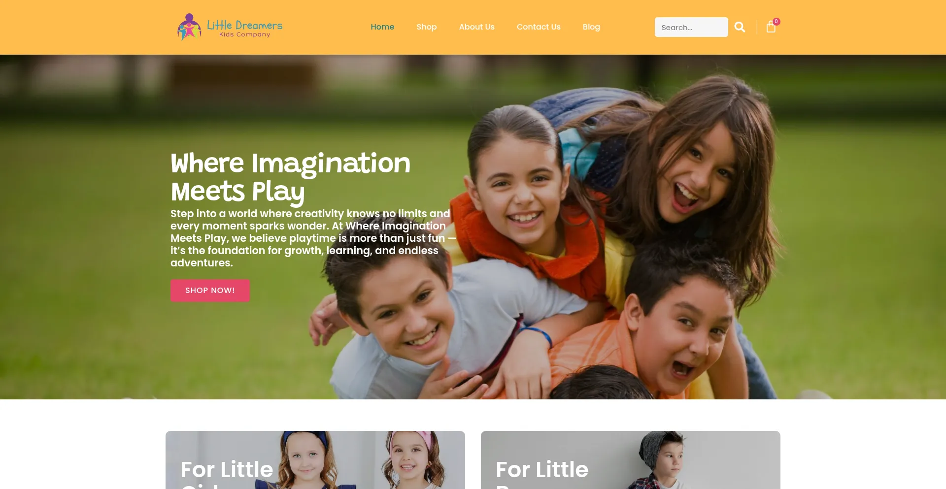 Website screenshot of Littledreamerskidscompany.com