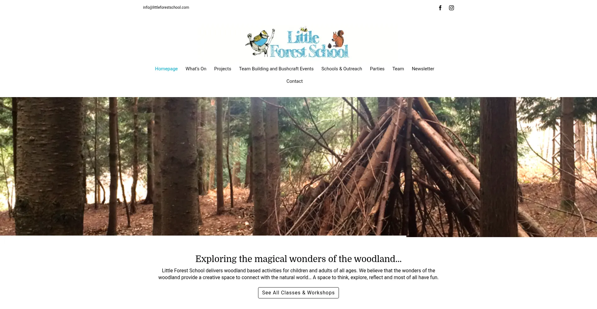 Website screenshot of Littleforestschool.com