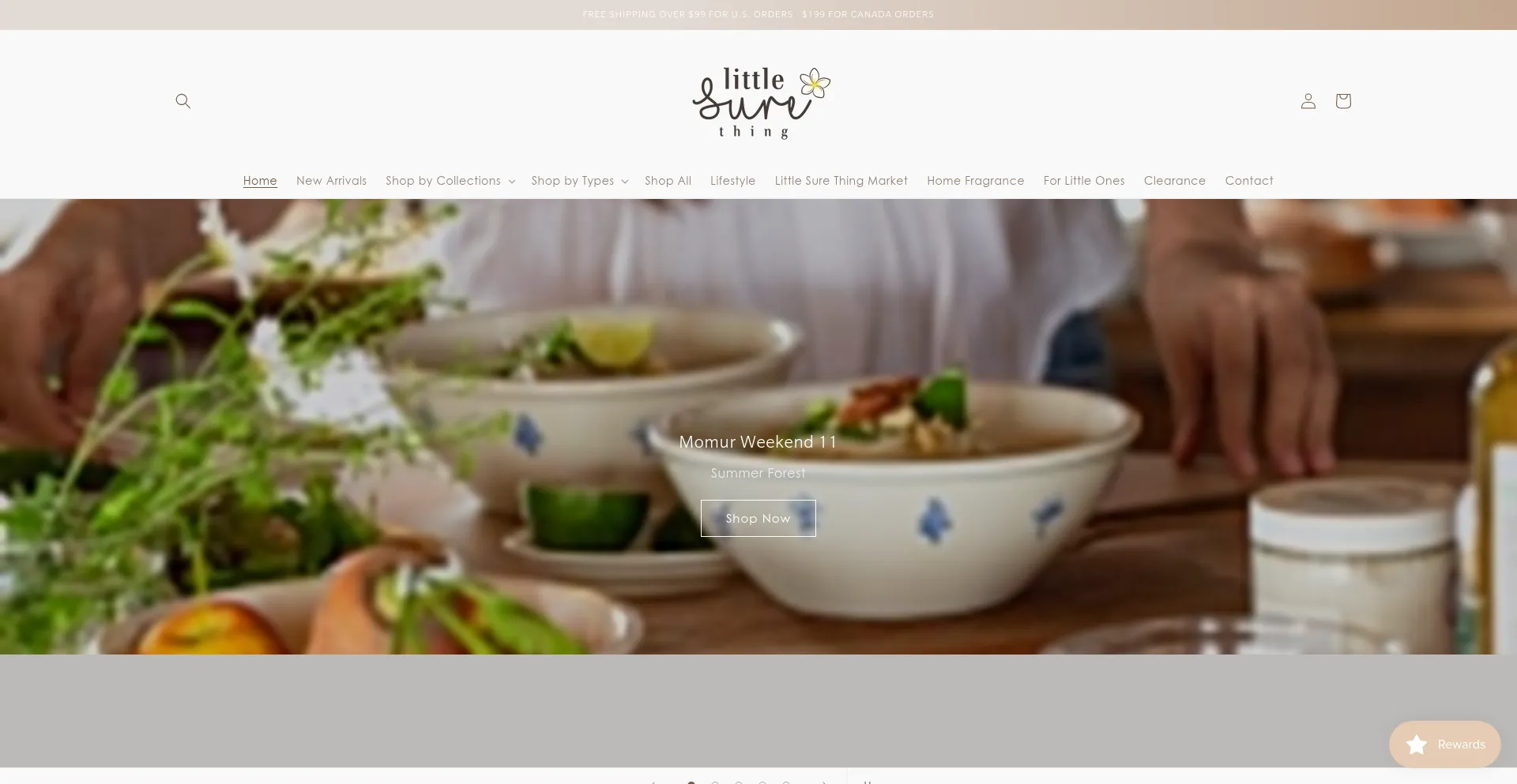 Website screenshot of Littlesurething.com