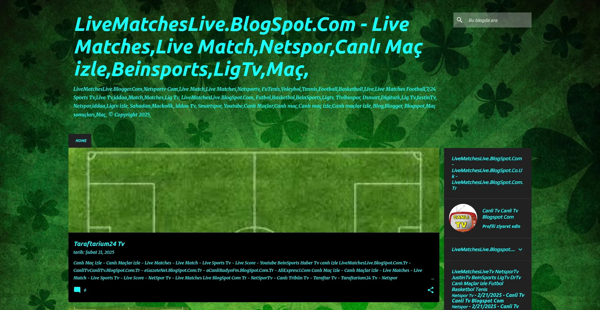 Website screenshot of Livematcheslive.blogspot.co.uk