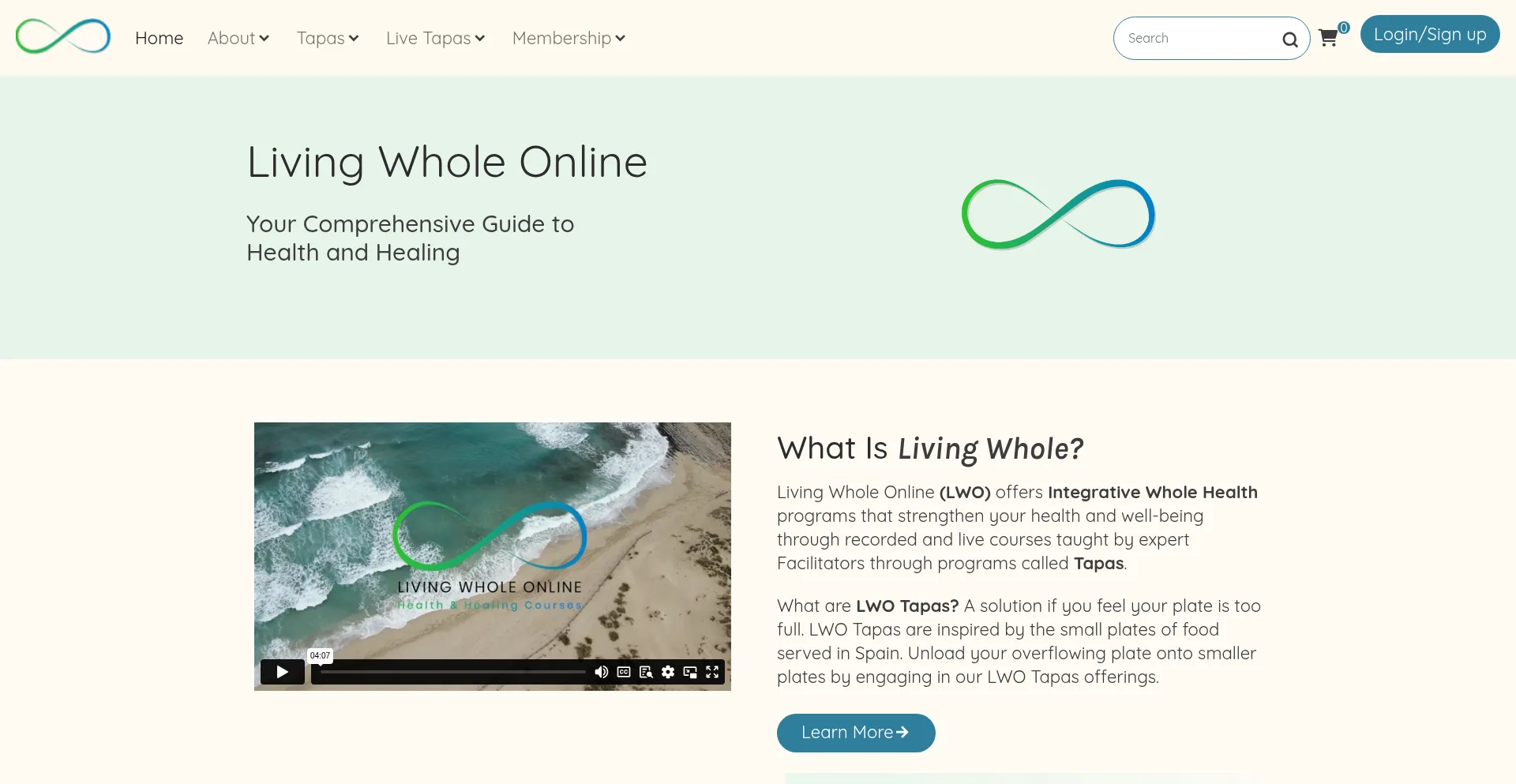 Website screenshot of Livingwholeonline.com