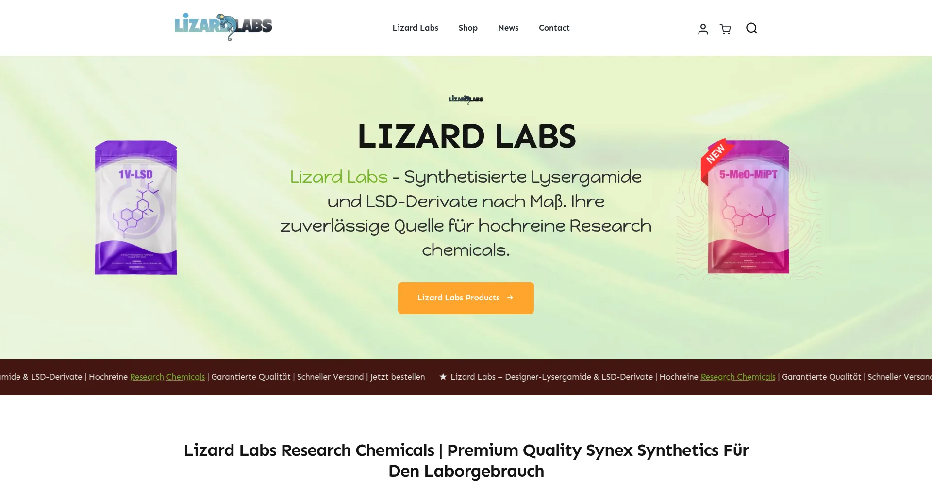 Lizardlabs.co