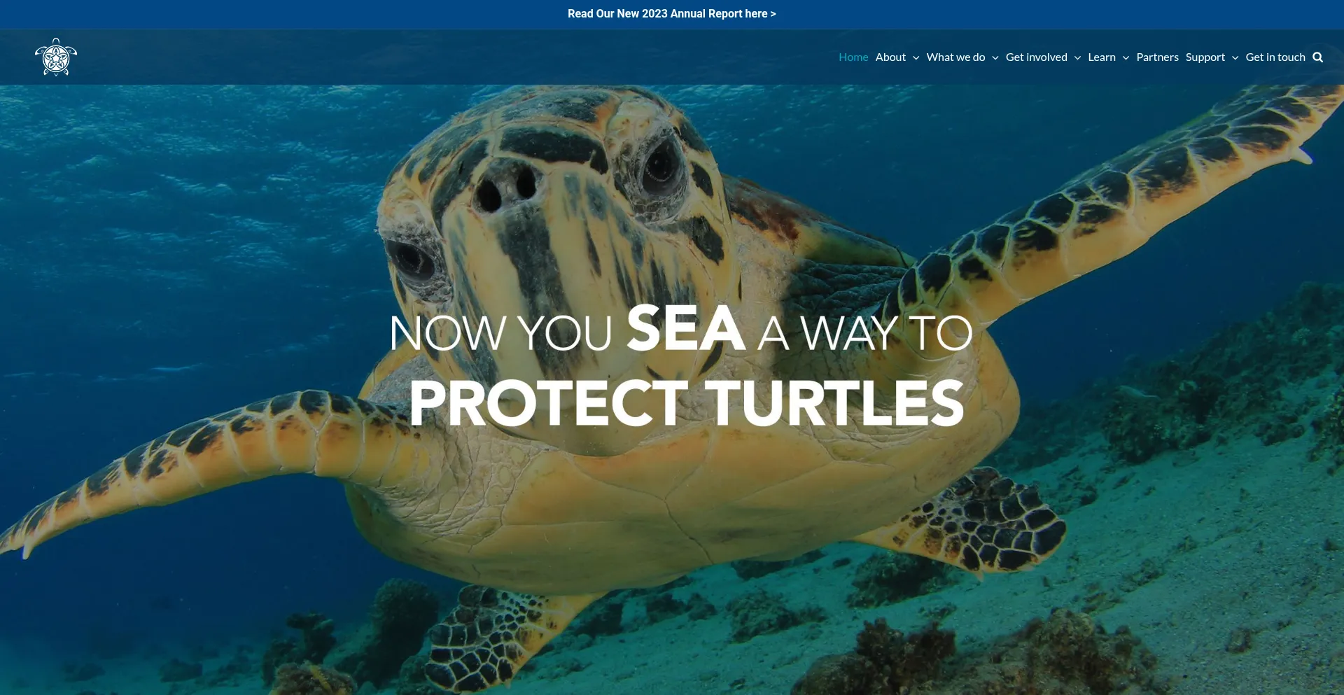 Website screenshot of Localocean.co