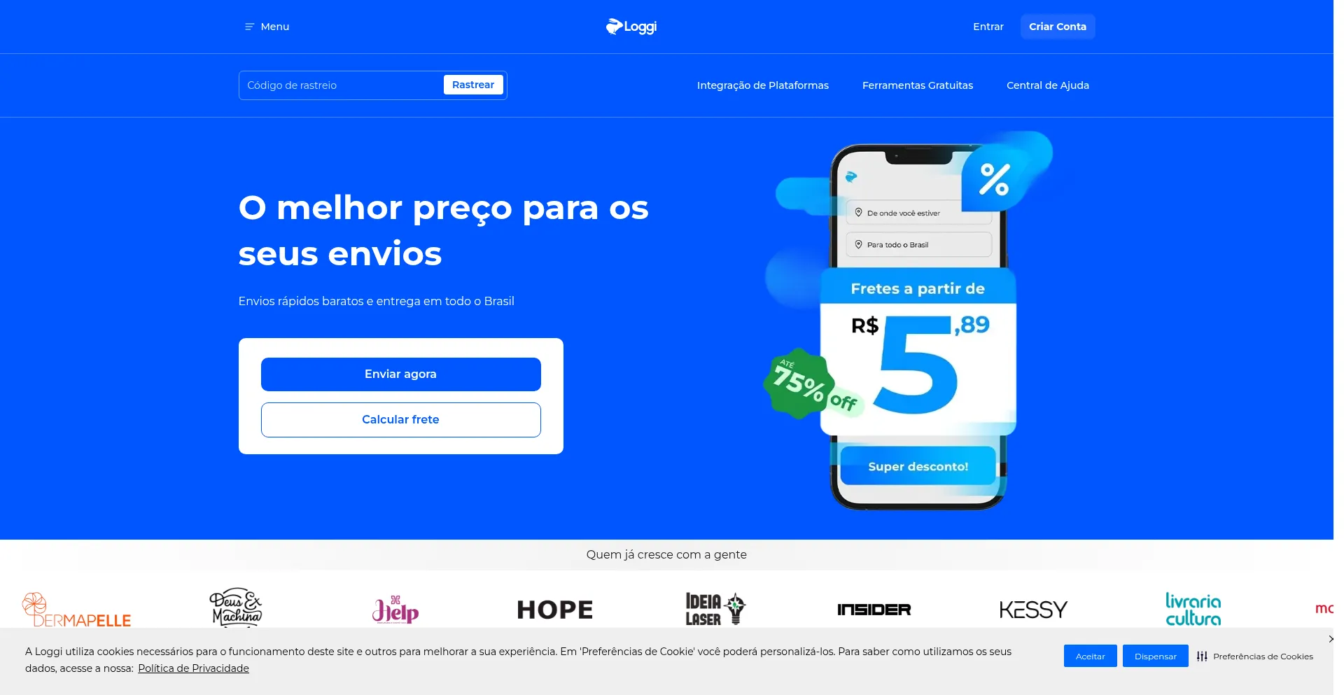 Website screenshot of Loggicf.top