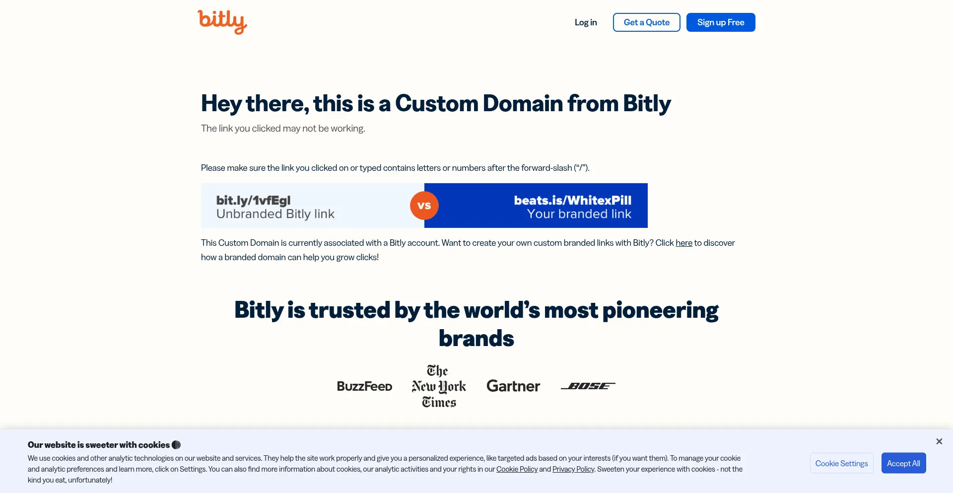 Website screenshot of Lohaapp.com