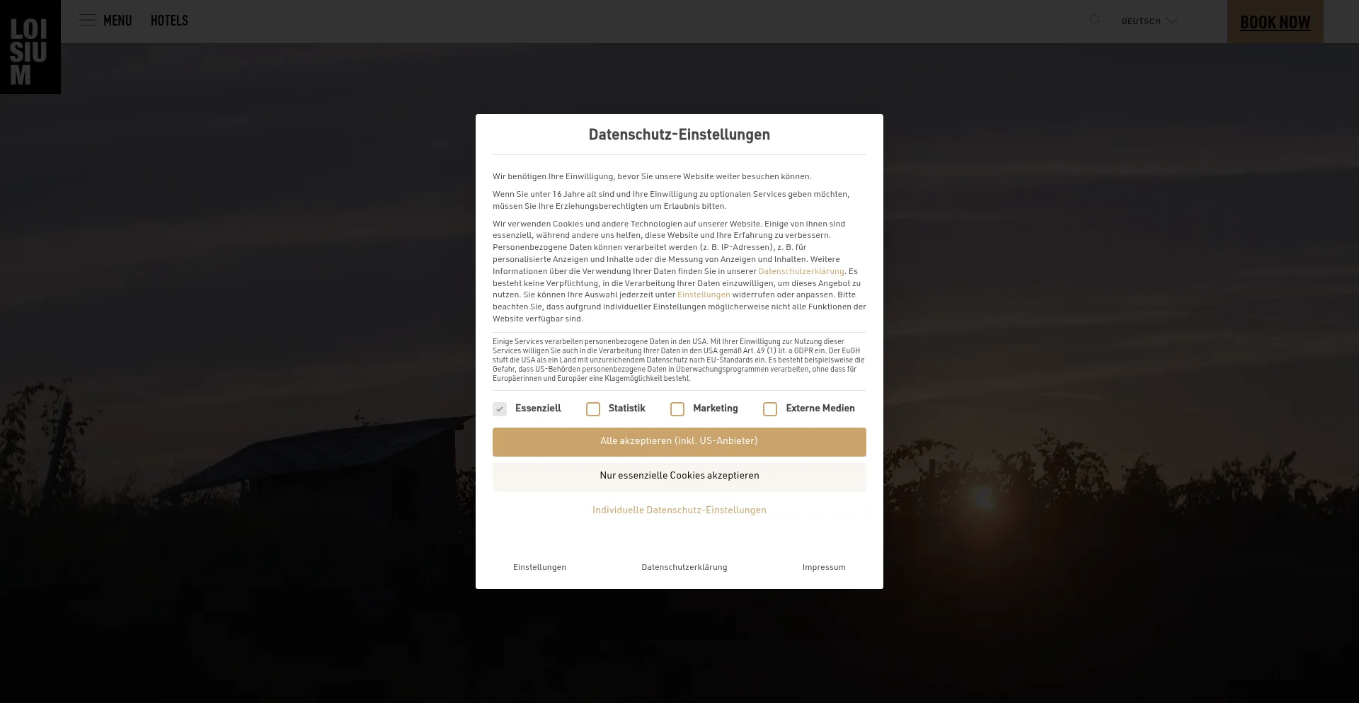 Website screenshot of Loisium.com