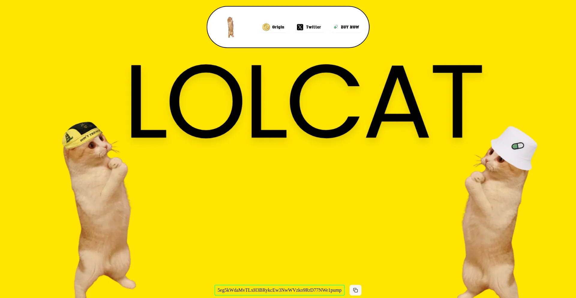 Lolcatpump.fun
