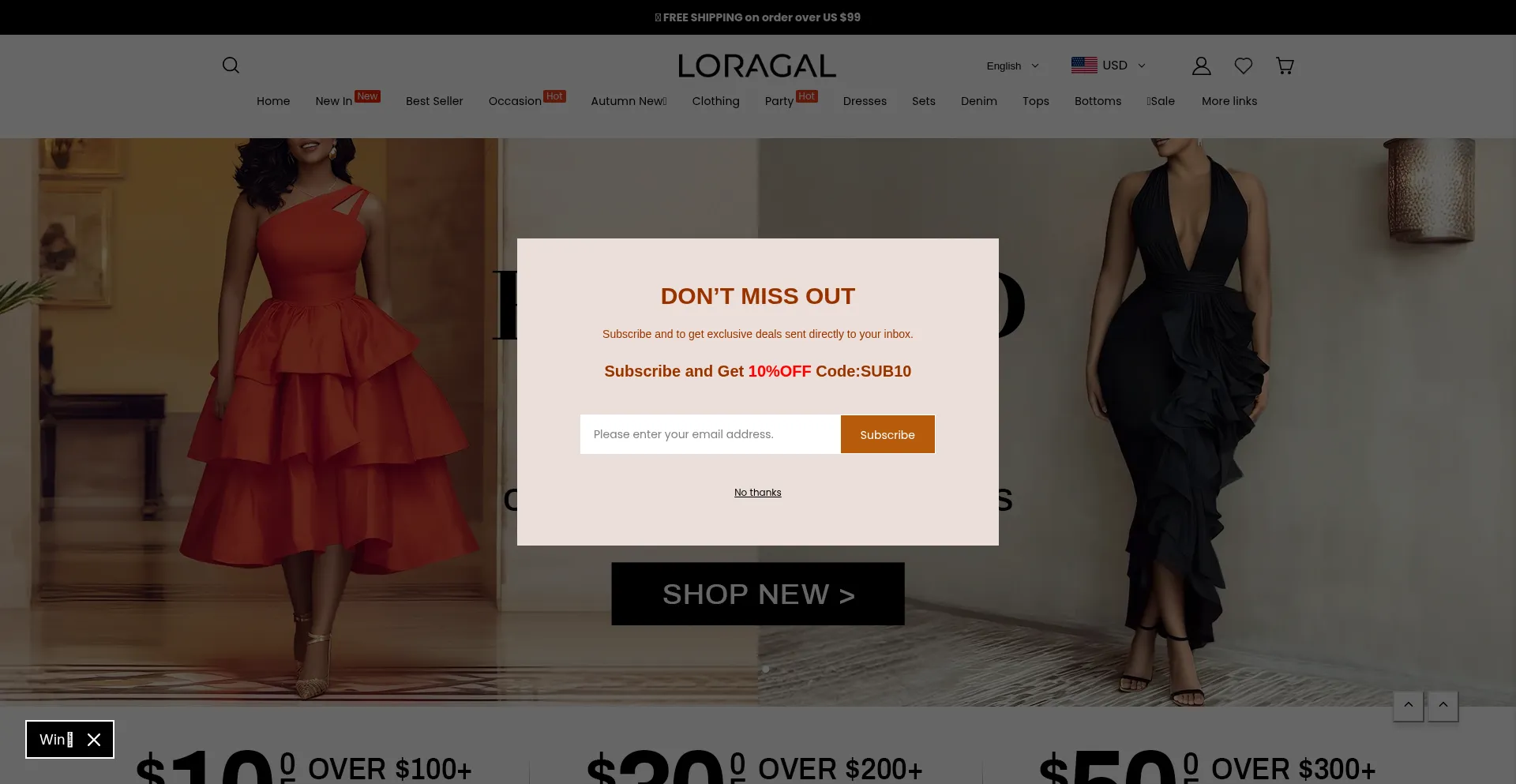 Website screenshot of Loragal.com
