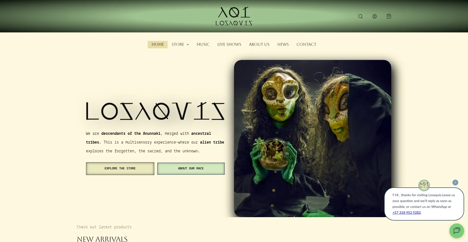 Website screenshot of Losaquis.com