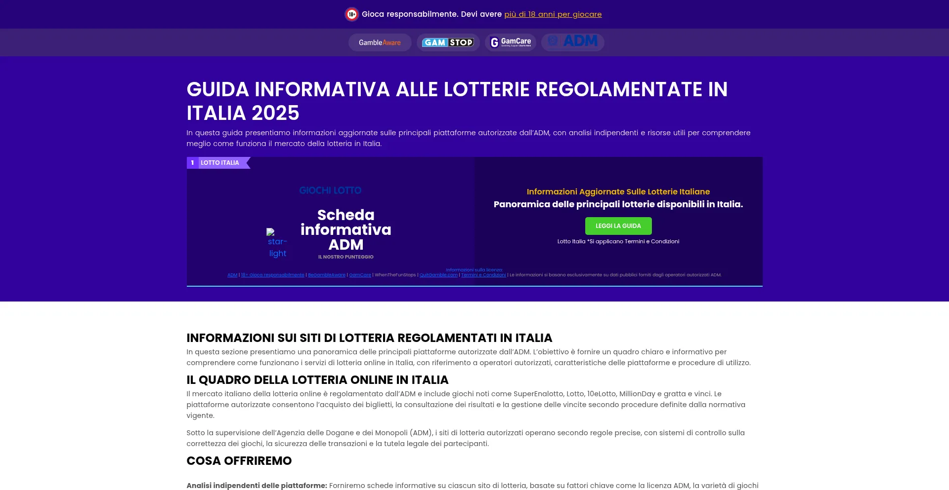 Website screenshot of Lotteria101.com