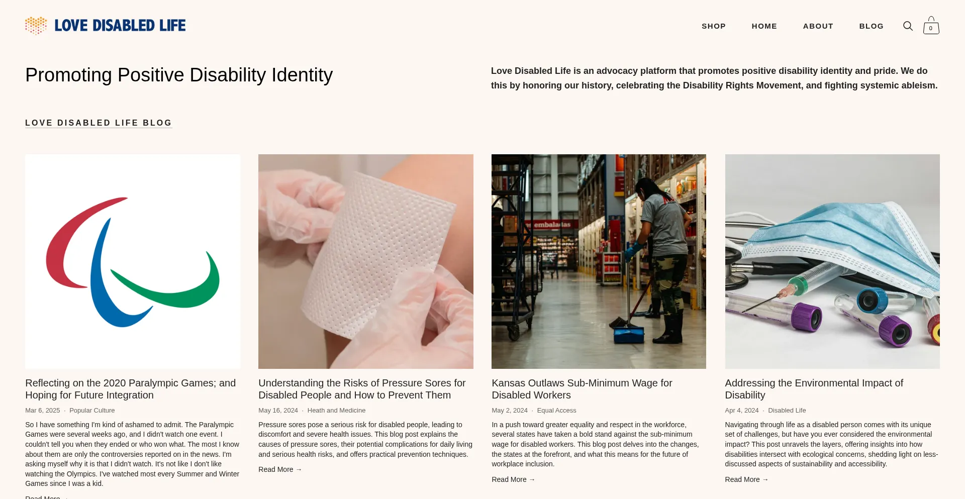 Website screenshot of Lovedisabledlife.com