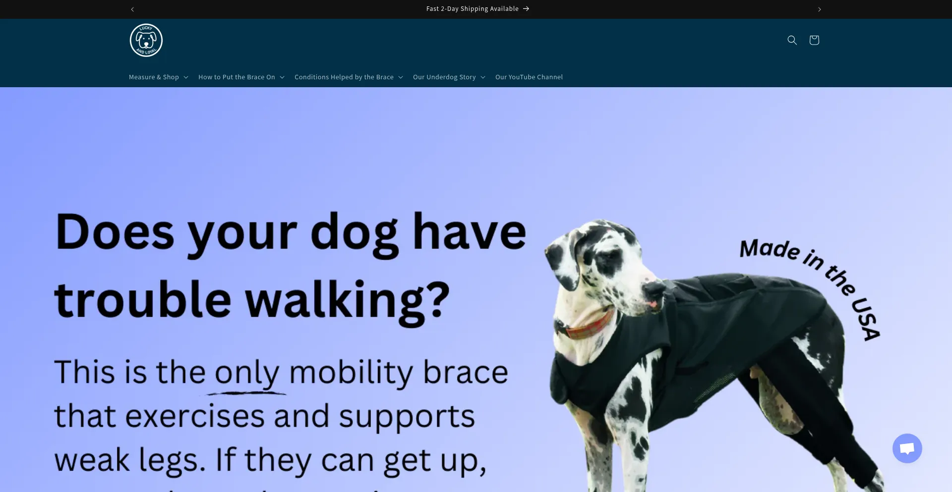 Website screenshot of Luckyandloyal.com