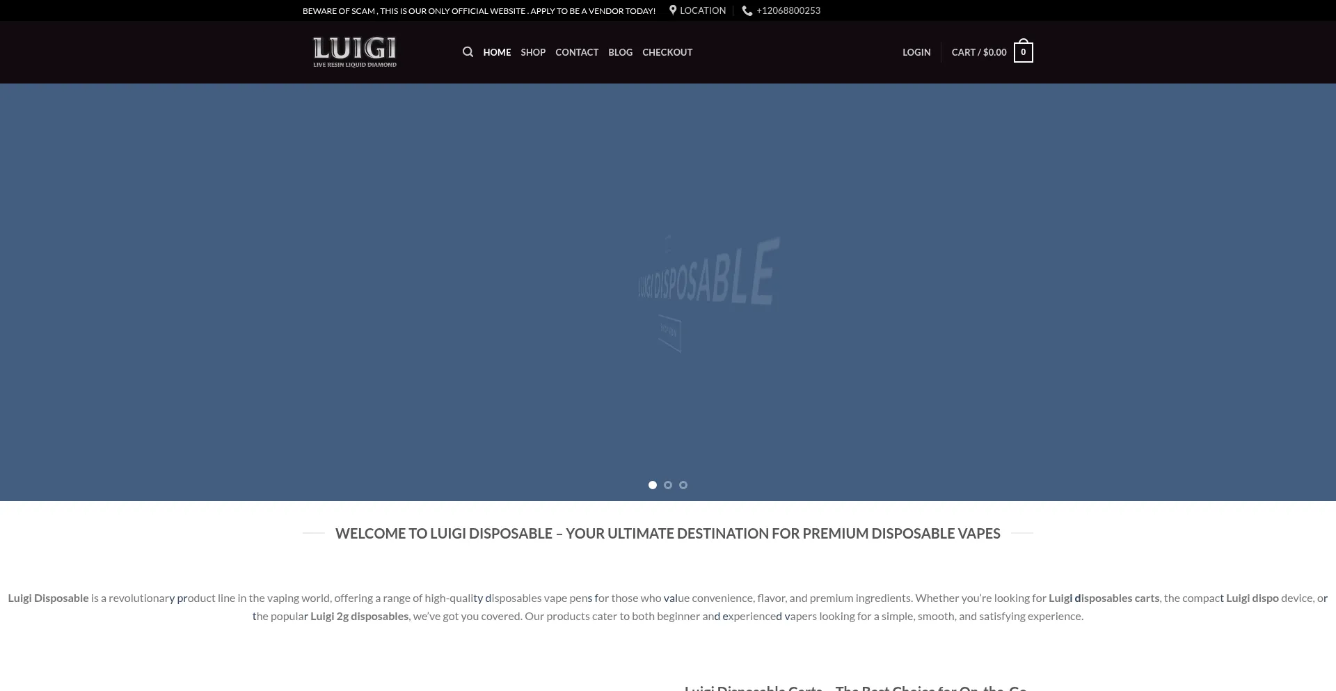 Luigidisposableshop.com