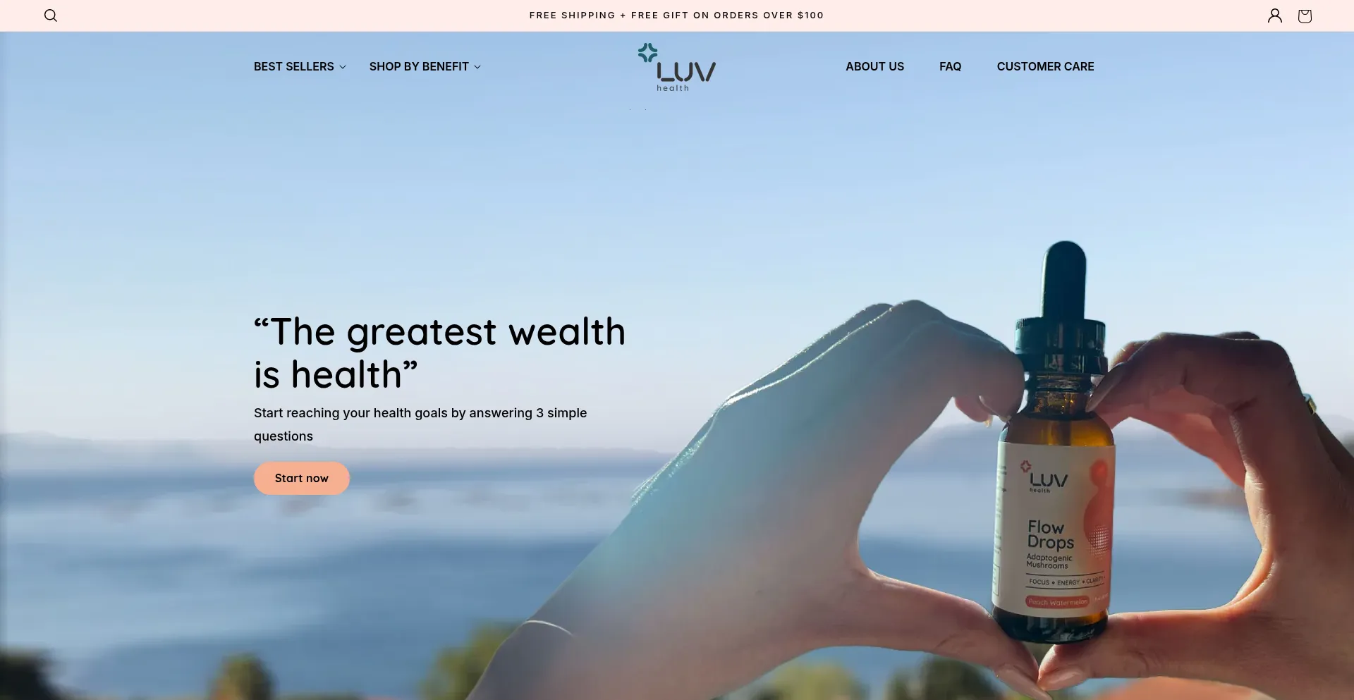 Website screenshot of Luv.health