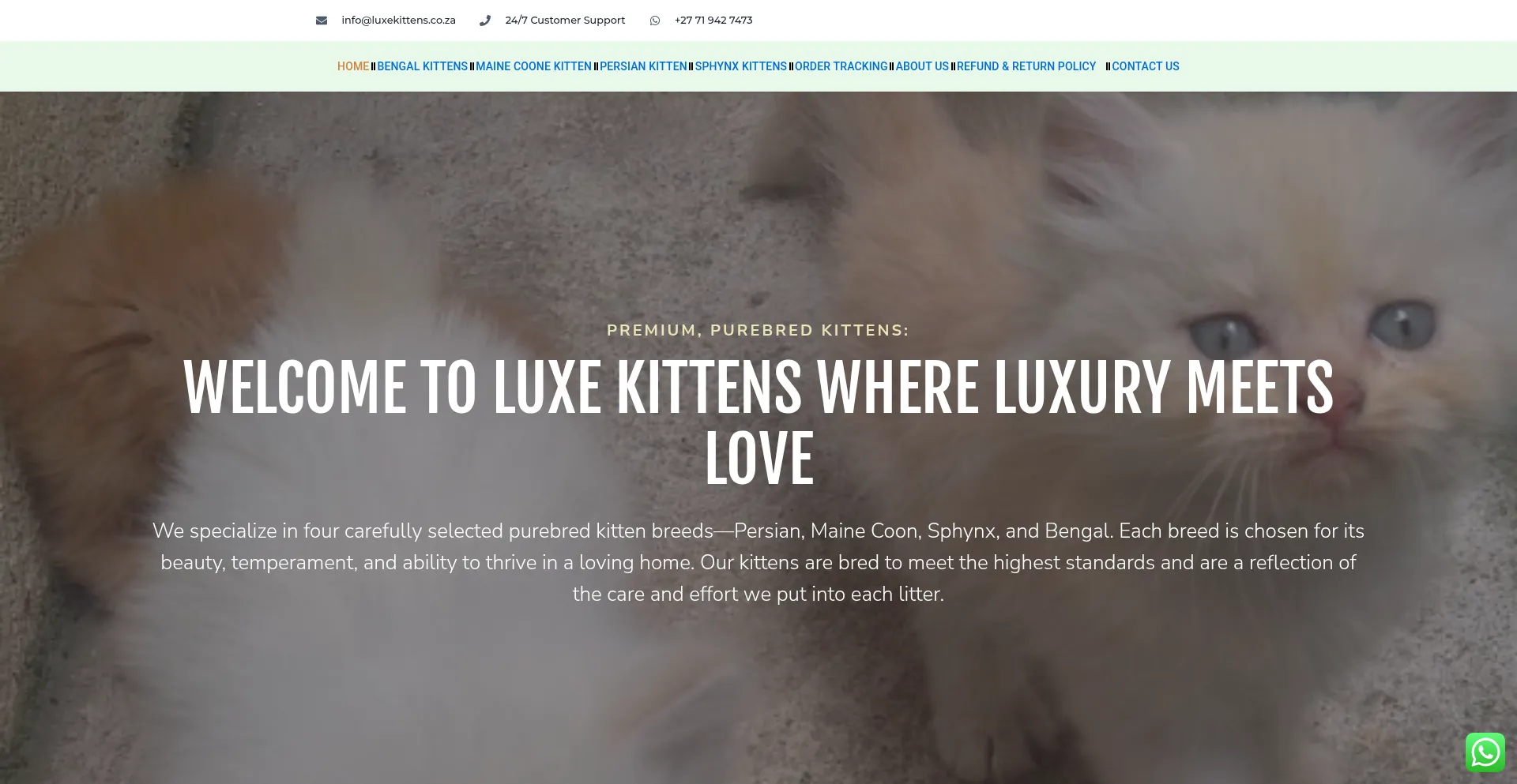 Luxekittens.co.za