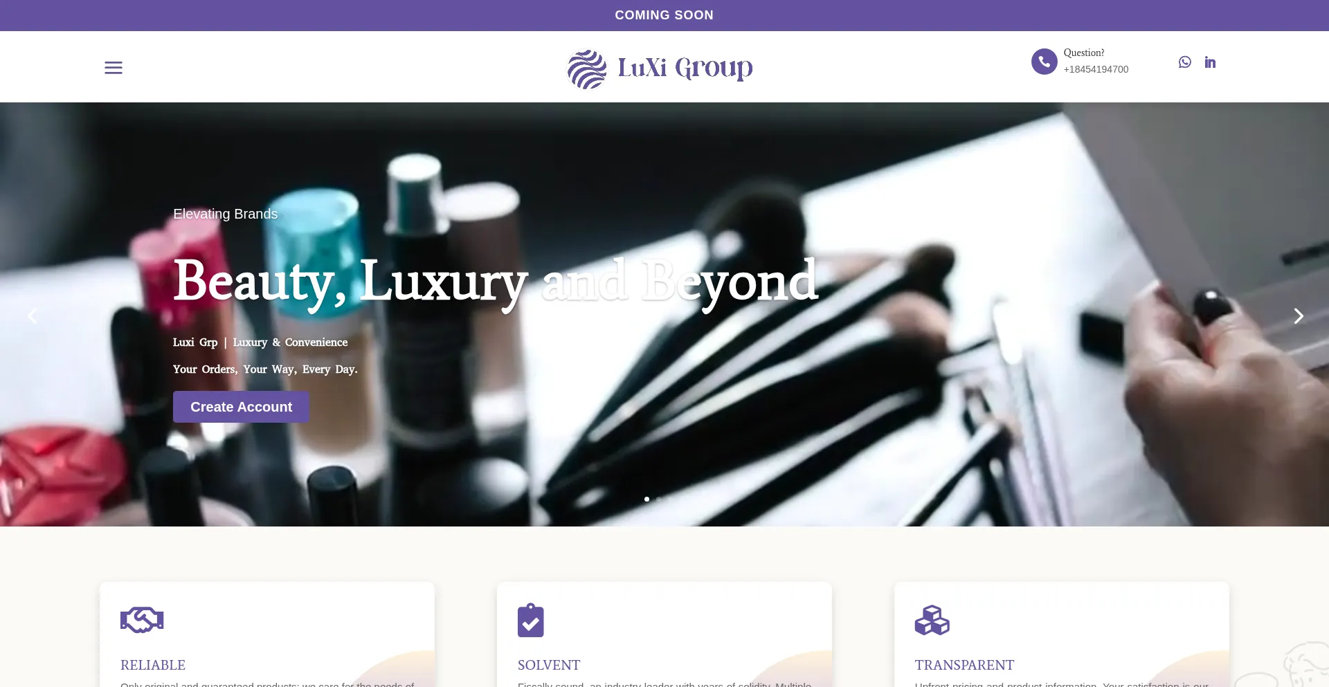 Website screenshot of Luxigrp.com