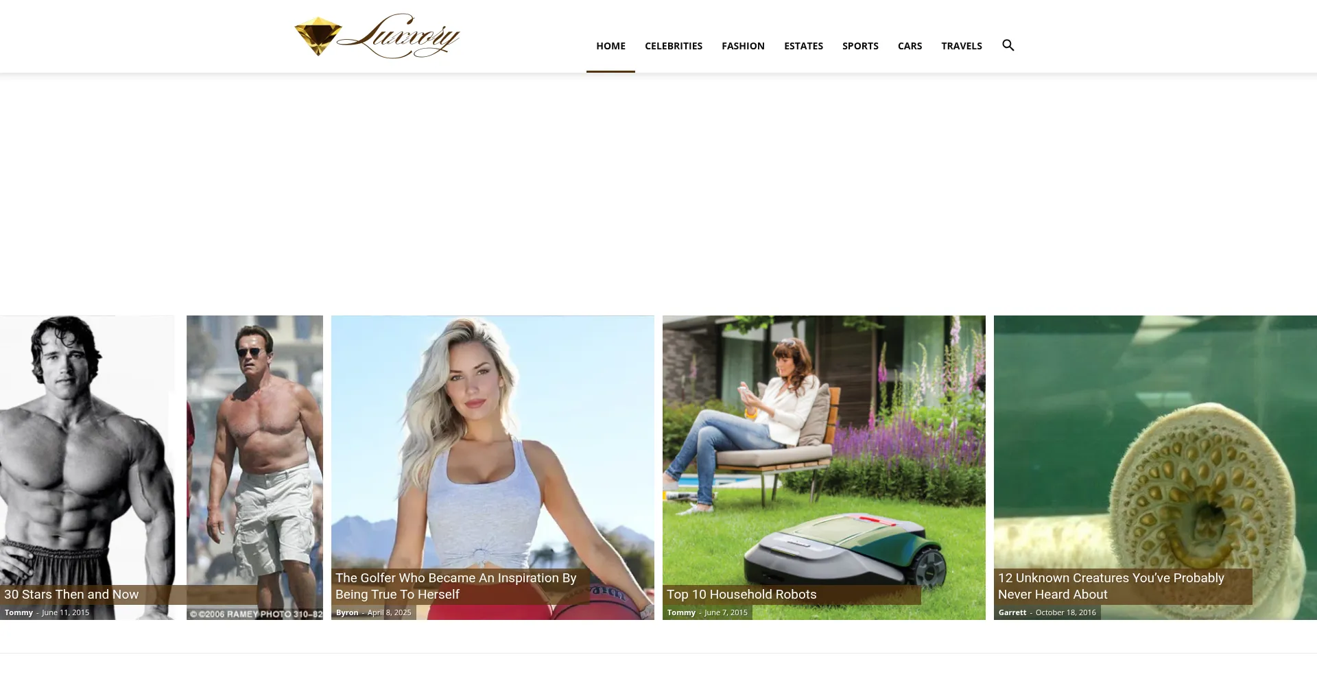 Website screenshot of Luxxory.com
