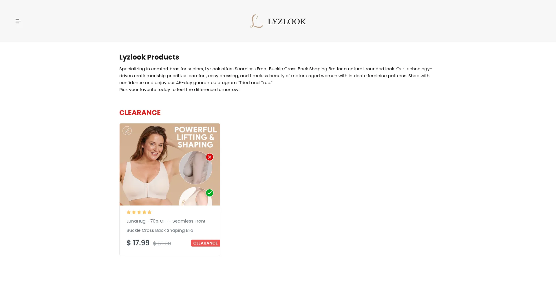 Website screenshot of Lyzlook.com