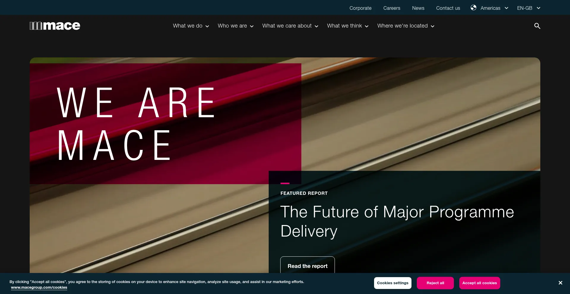 Website screenshot of Macegroup.com