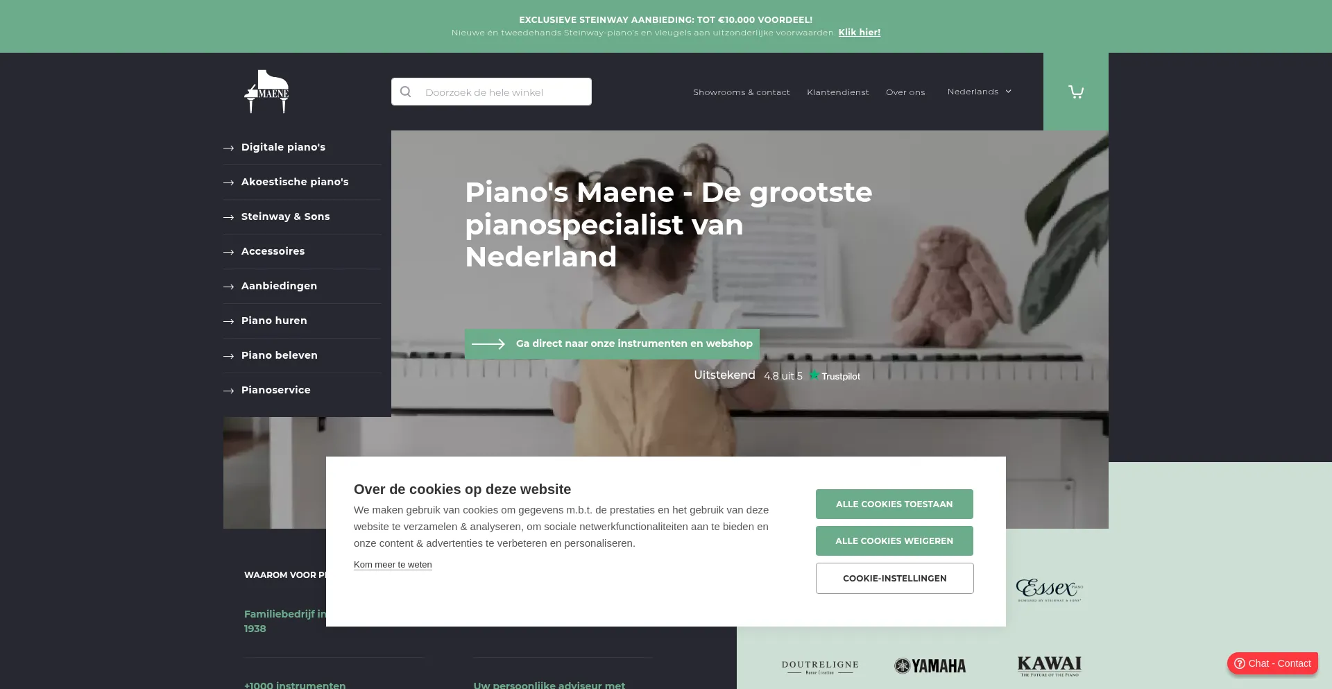 Website screenshot of Maene.nl