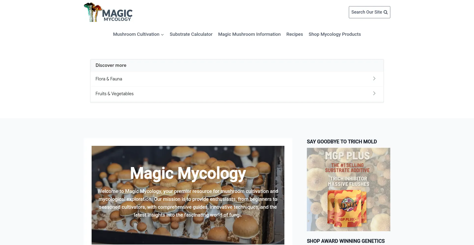 Magic-mycology.com