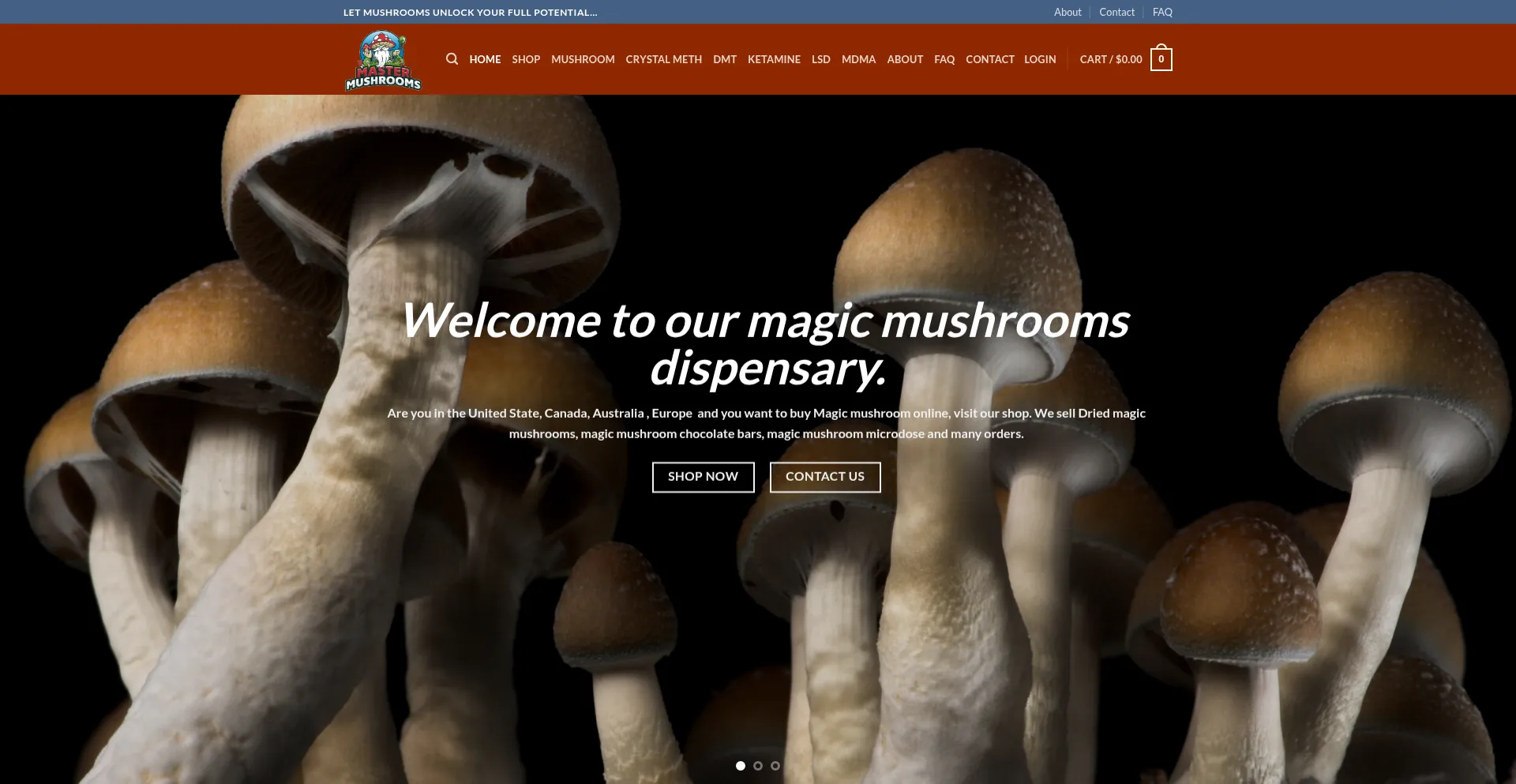 Website screenshot of Magicmushroommaster.com